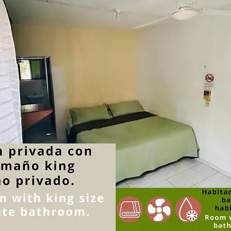 Hostal Pakal King-3
